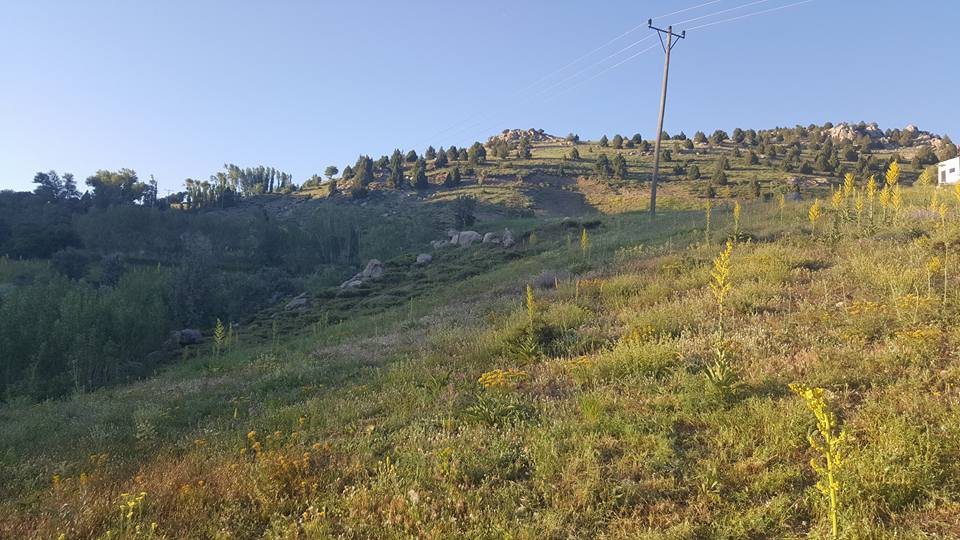 Refahiye Ardıçlık Köyü Resimleri 3