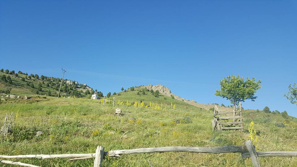 Refahiye Ardıçlık Köyü Resimleri 4