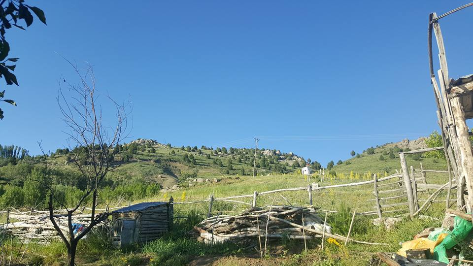 Refahiye Ardıçlık Köyü Resimleri 6