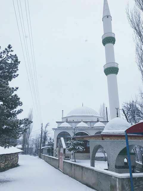 Refahiye Aşağısütlü Köyü Resimleri 2