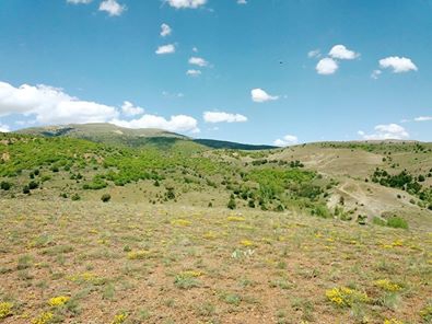 Refahiye Aydıncık Köyü Resimleri 1