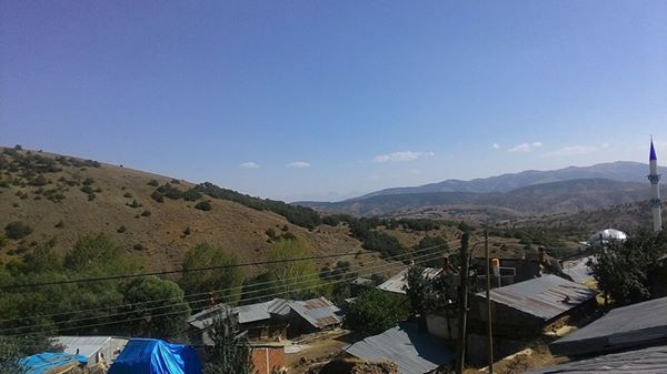 Refahiye Aydıncık Köyü Resimleri 3