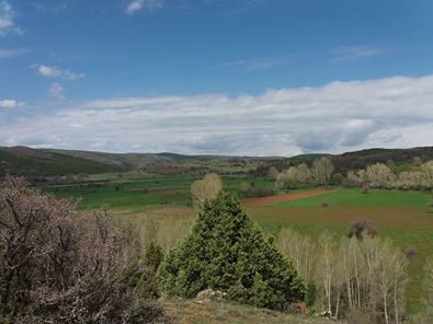 Refahiye Aydıncık Köyü Resimleri 4
