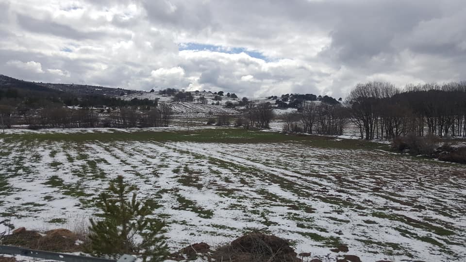 Refahiye Babaaslan Köyü Resimleri 8