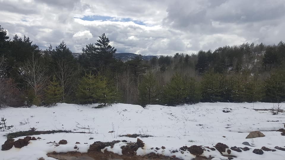 Refahiye Babaaslan Köyü Resimleri 9