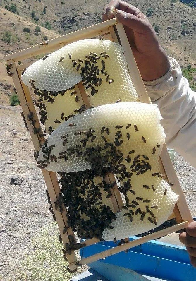 Adana Pozantı Karakışlakçı Köyü Resimleri 10