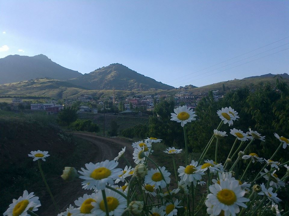 Adana Pozantı Karakışlakçı Köyü Resimleri 11