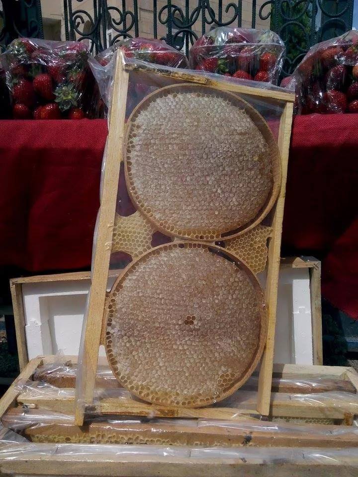 Adana Pozantı Karakışlakçı Köyü Resimleri 12