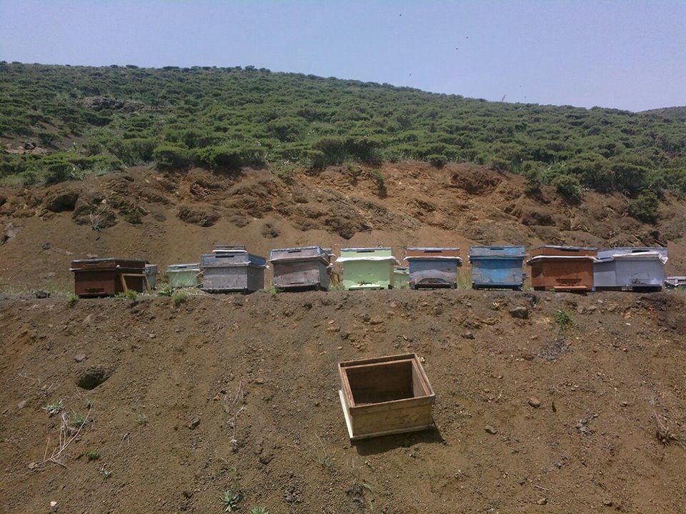 Adana Pozantı Karakışlakçı Köyü Resimleri 18