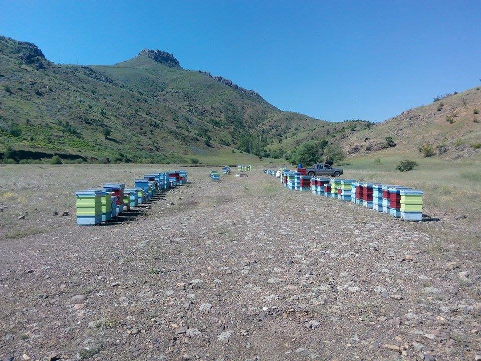 Adana Pozantı Karakışlakçı Köyü Resimleri 22