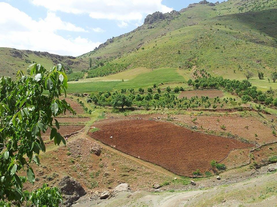 Adana Pozantı Karakışlakçı Köyü Resimleri 25