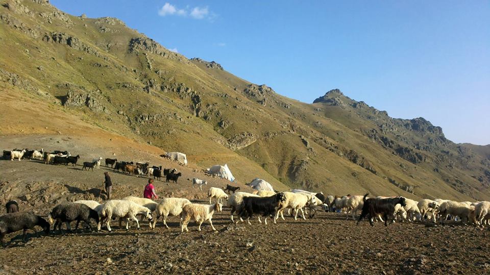 Adana Pozantı Karakışlakçı Köyü Resimleri 27