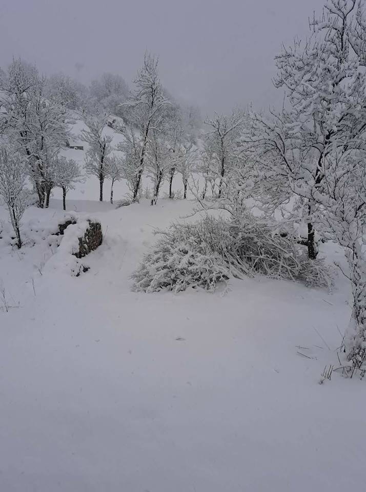 Refahiye Bakacak Köyü Resimleri 4