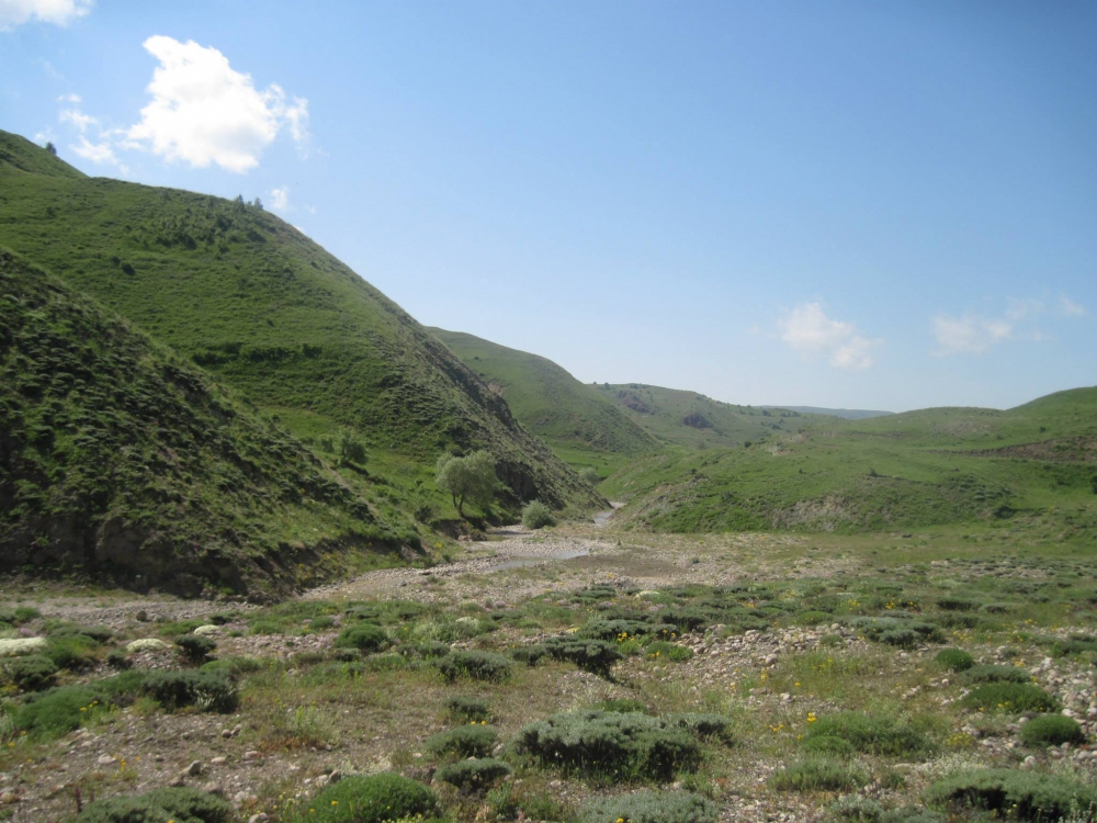 Refahiye Baloğlu Köyü Resimleri 3