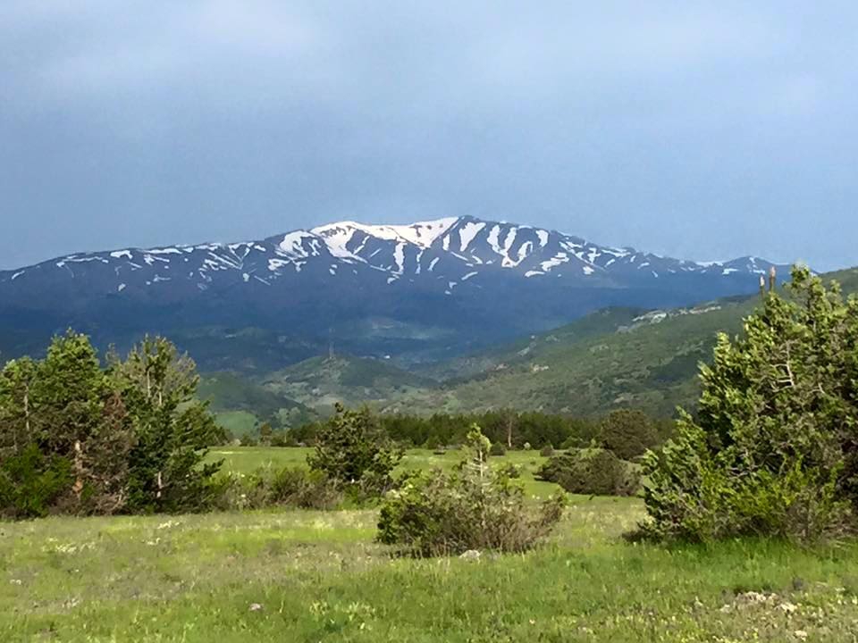 Refahiye Biçer Köyü Resimleri 12