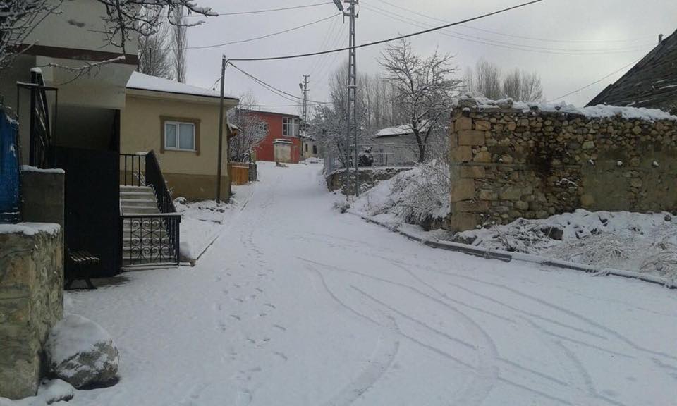 Refahiye Biçer Köyü Resimleri 13