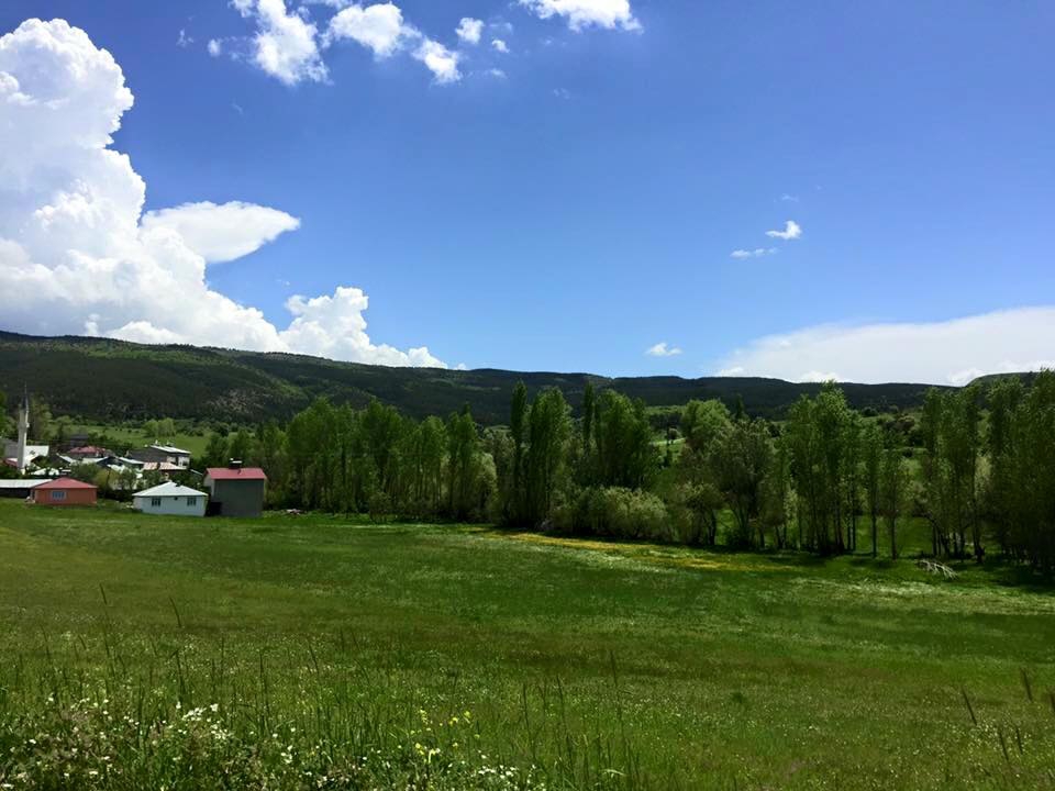 Refahiye Biçer Köyü Resimleri 15
