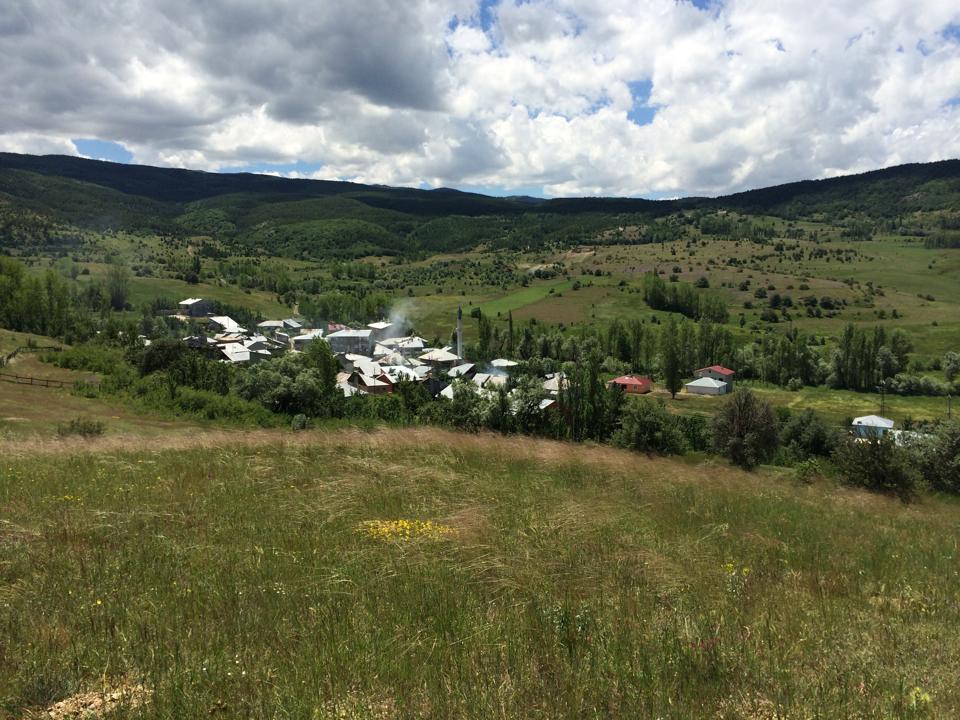 Refahiye Biçer Köyü Resimleri 16