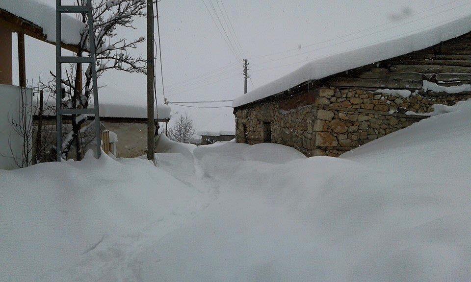 Refahiye Biçer Köyü Resimleri 2