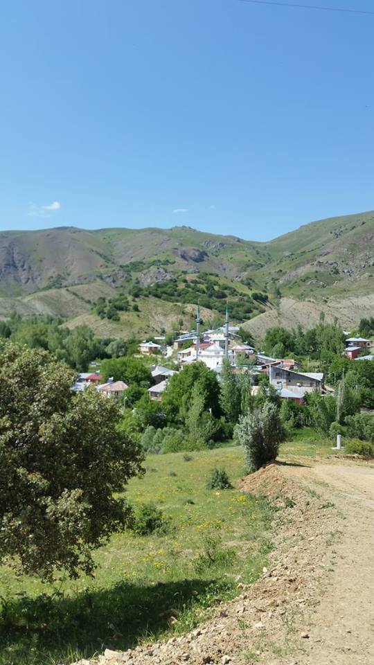 Refahiye Bostandere Köyü Resimleri 9