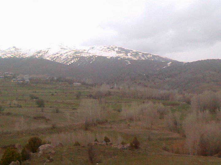 Refahiye Cengerli Köyü Resimleri 2