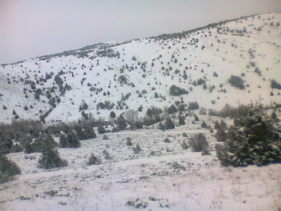 Refahiye Cengerli Köyü Resimleri 4