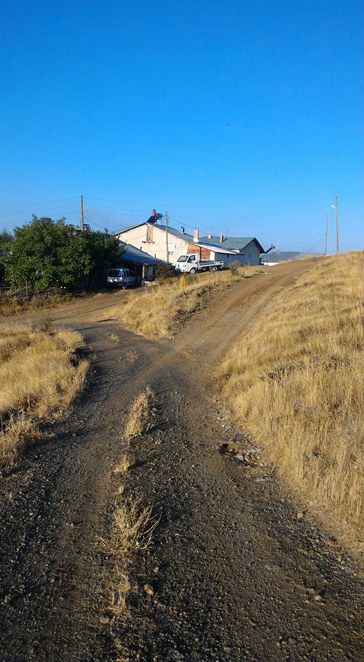 Refahiye Cengerli Köyü Resimleri 5