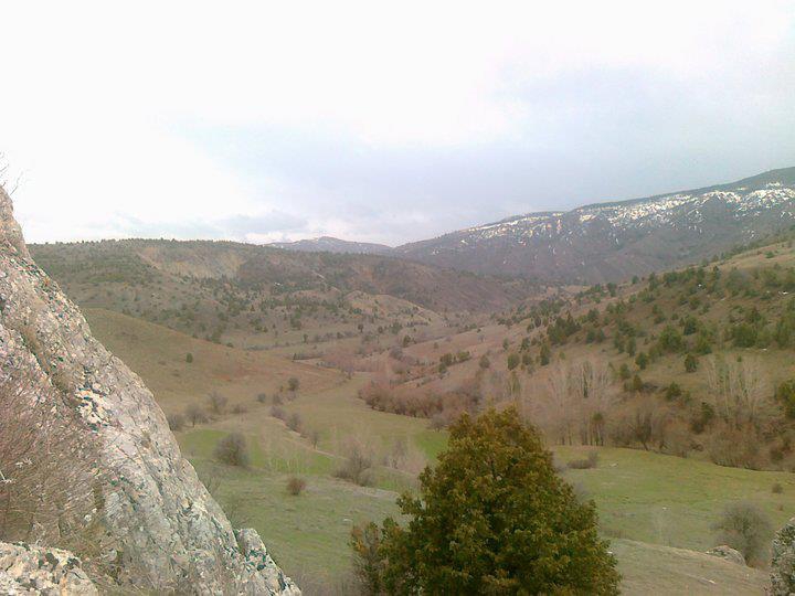 Refahiye Cengerli Köyü Resimleri 6