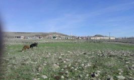 Ergani Akçakale Köyü Resimleri 4