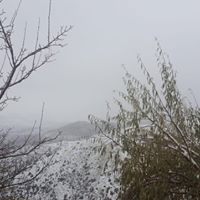 Ergani Armutova Köyü Resimleri 10