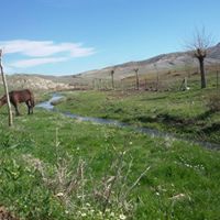 Ergani Armutova Köyü Resimleri 5