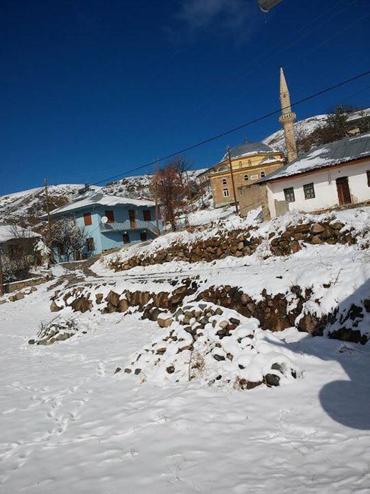 Gölova Çukuryurt Köyü Resimleri 11