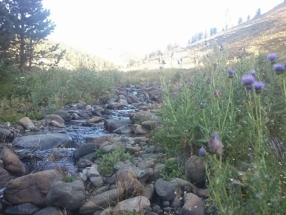 Gölova Çukuryurt Köyü Resimleri 22