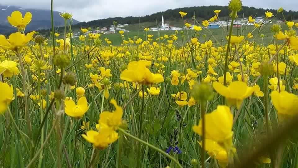 Gölova Çukuryurt Köyü Resimleri 23