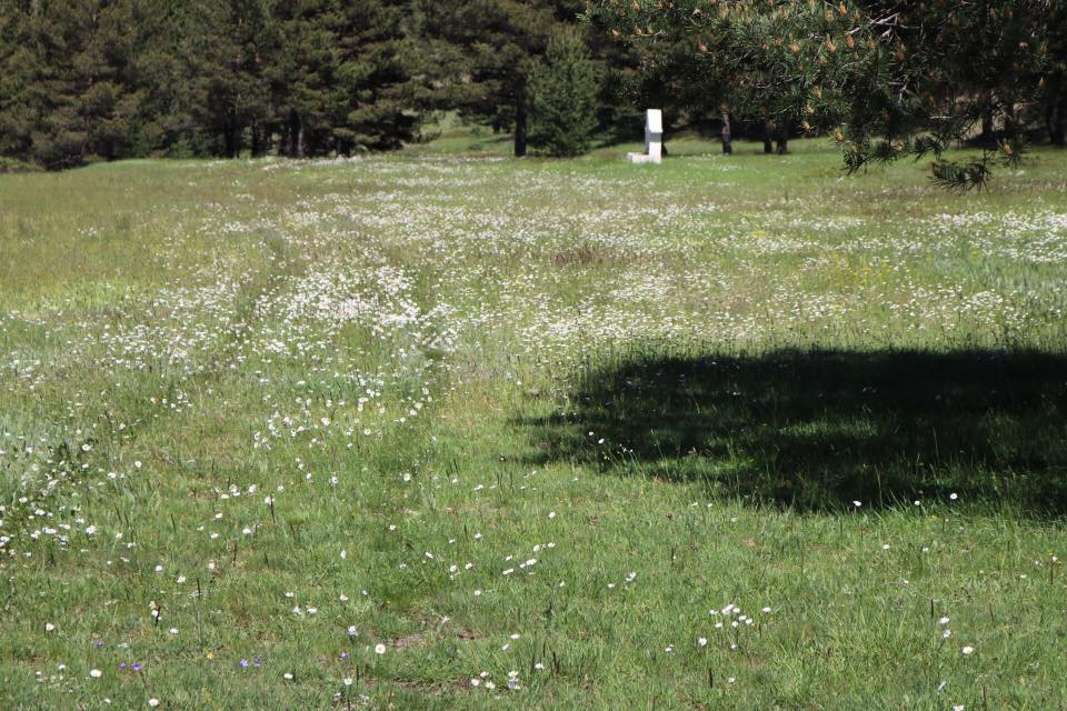 Gölova Çukuryurt Köyü Resimleri 24