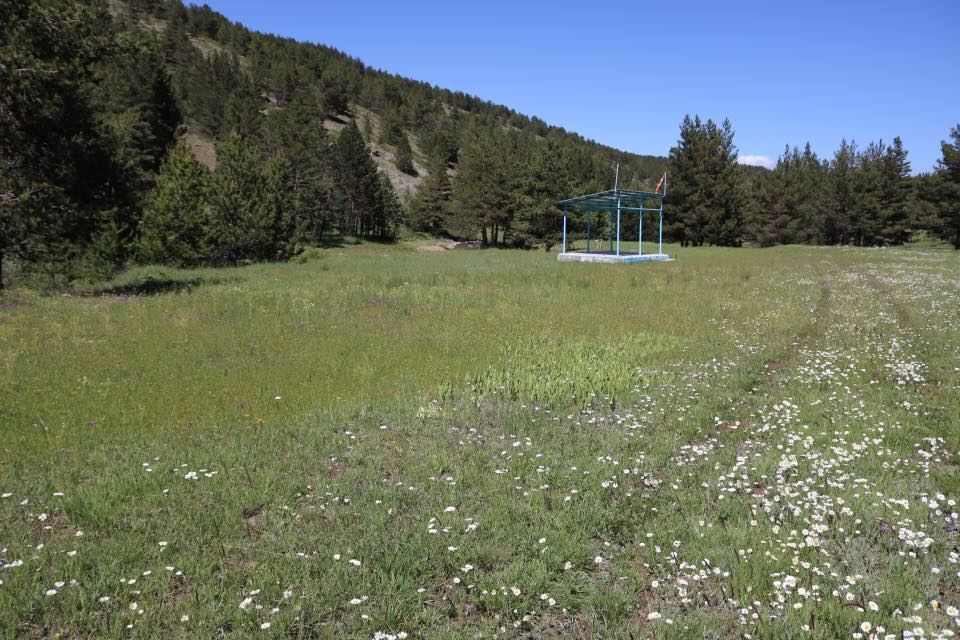 Gölova Çukuryurt Köyü Resimleri 25