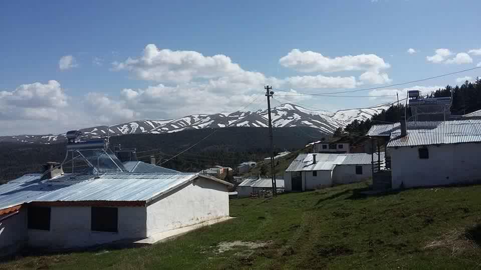 Gölova Çukuryurt Köyü Resimleri 3