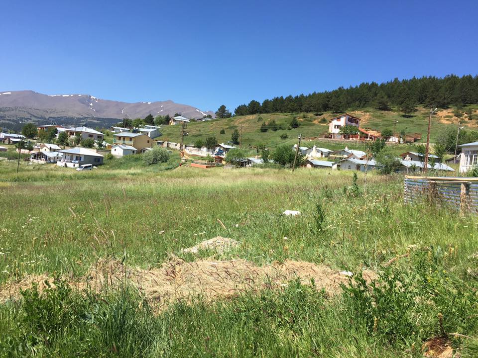 Gölova Çukuryurt Köyü Resimleri 34