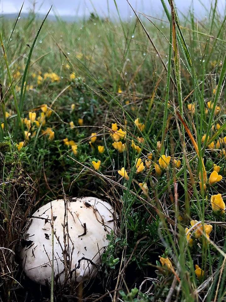 Gölova Çukuryurt Köyü Resimleri 37