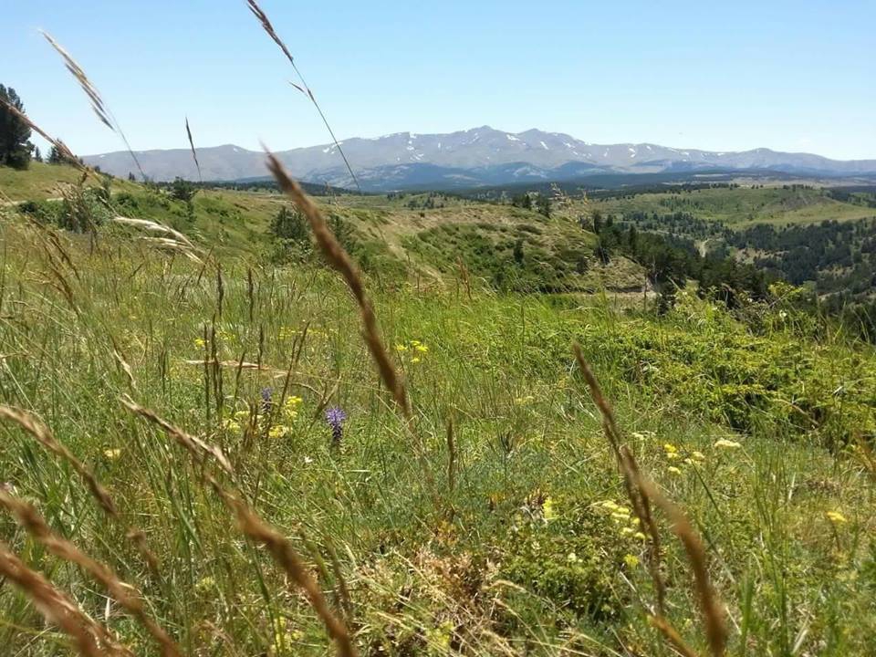 Gölova Çukuryurt Köyü Resimleri 38