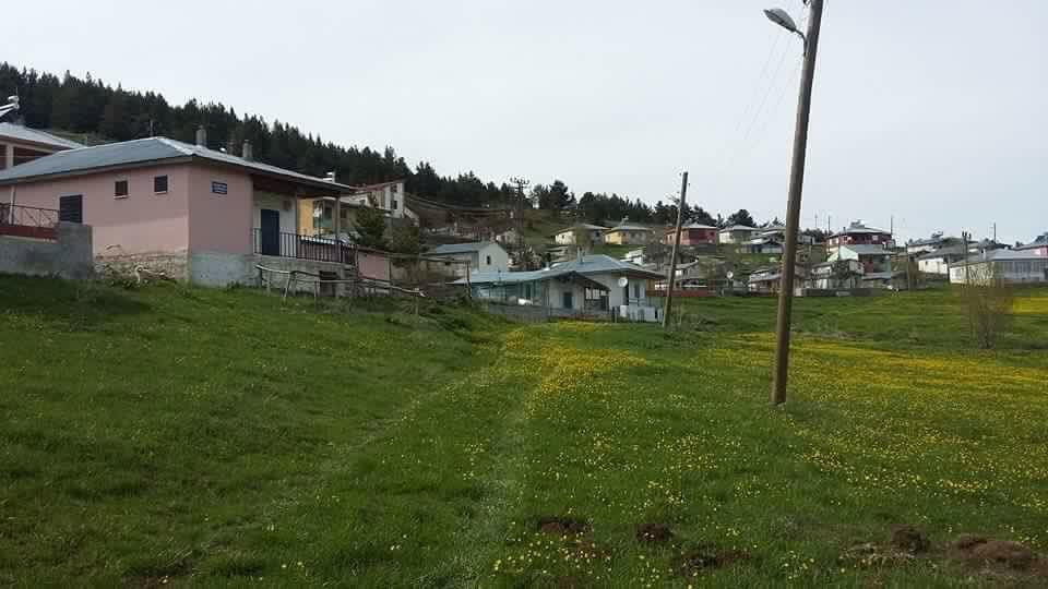 Gölova Çukuryurt Köyü Resimleri 4