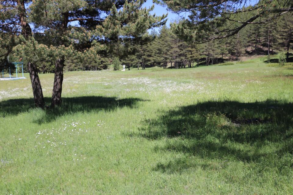 Gölova Çukuryurt Köyü Resimleri 40