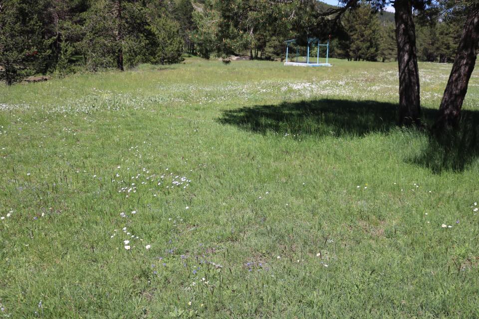 Gölova Çukuryurt Köyü Resimleri 41