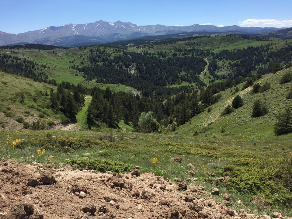 Gölova Çukuryurt Köyü Resimleri 43