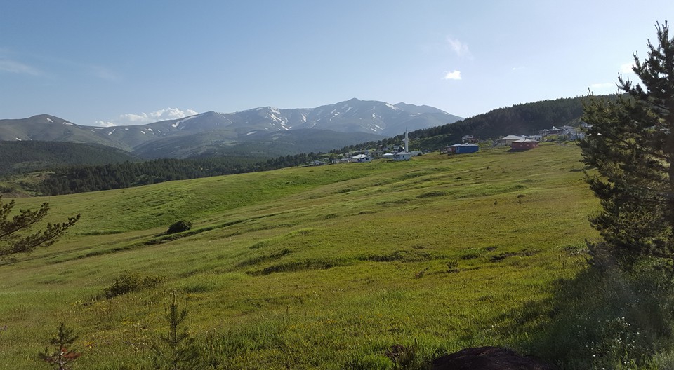 Gölova Çukuryurt Köyü Resimleri 44