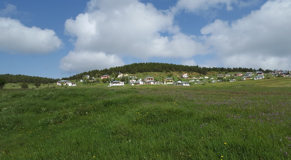 Gölova Çukuryurt Köyü Resimleri 48