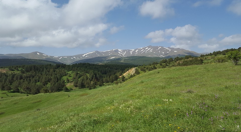Gölova Çukuryurt Köyü Resimleri 49