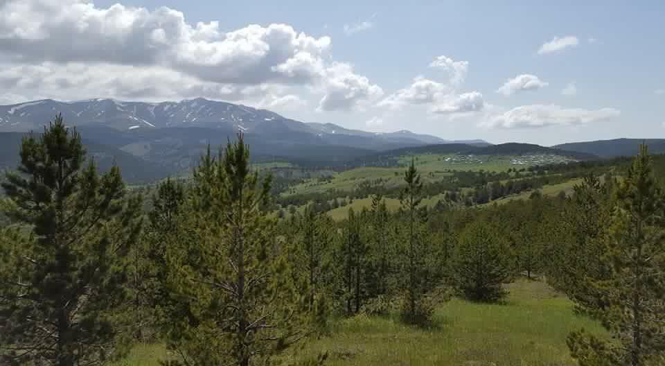 Gölova Çukuryurt Köyü Resimleri 5