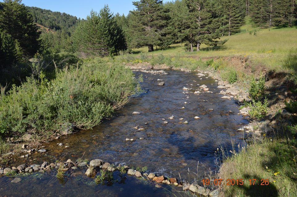 Gölova Çukuryurt Köyü Resimleri 51