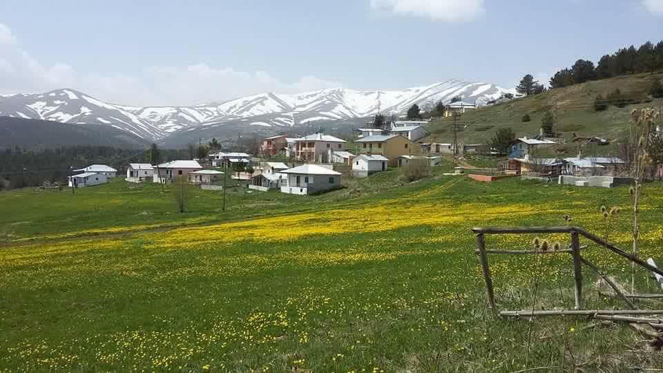 Gölova Çukuryurt Köyü Resimleri 6